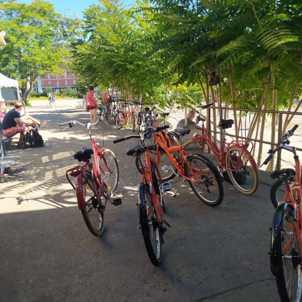 Balade fluviale à vélo