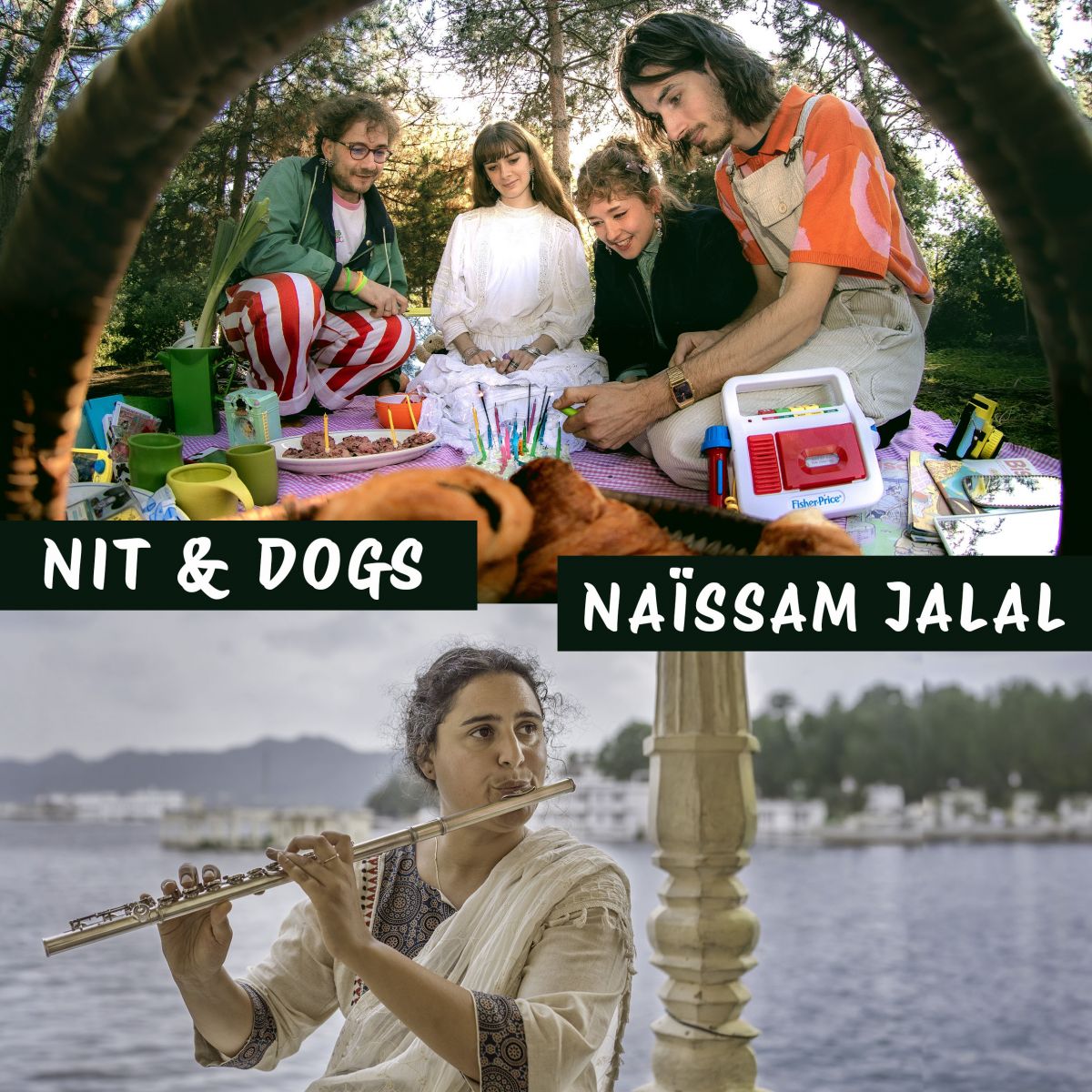 NIT AND DOGS / NAÏSSAM JALAL